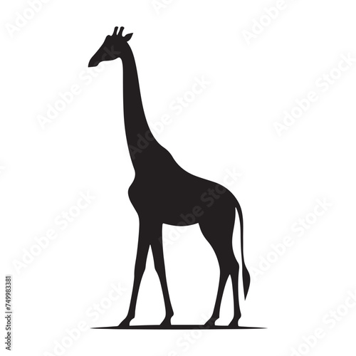 Graceful Giants  Vector Giraffe Silhouette - Capturing the Elegance and Majesty of Africa s Tallest Land Mammal. Minimalist Giraffe Vector  Giraffe Illustrtion.