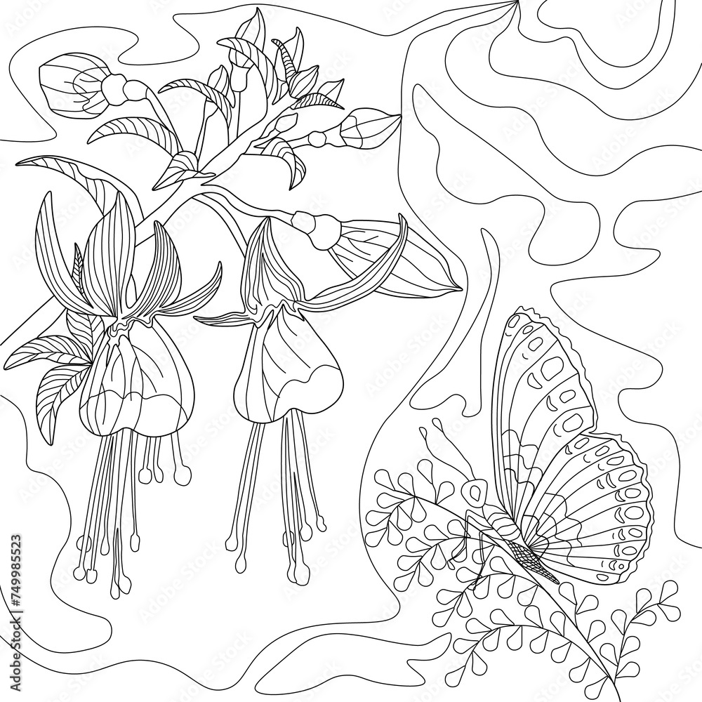 beauty anti-stress coloring book, spring card, spring, women's day, congratulations, artline, beautiful unusual flower, butterfly beauty anti-stress coloring book, spring card, spring, women's day, congratulations, artline, beautiful unusual flower, butterfly