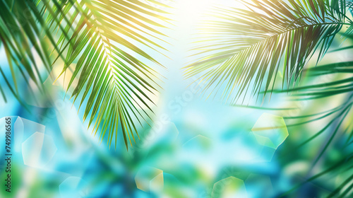 Green palm leaves background, summer atmosphere 
