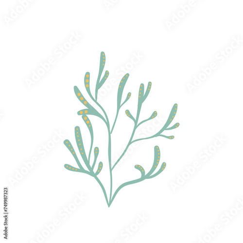 Colorful Coral Illustration