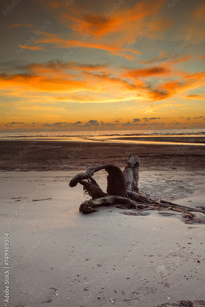 Fototapeta premium sunset on the beach