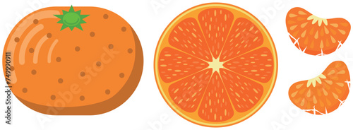 蜜柑のイラストセット