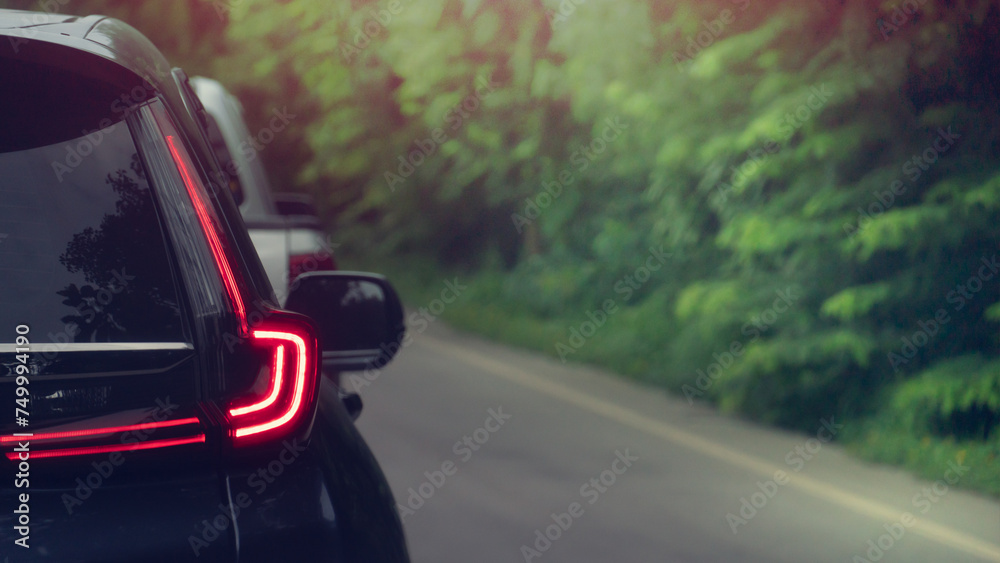 Rear side view of dark car with red light of brake. Driving speed on the aspahtl road with blurred of green forest beside road. 