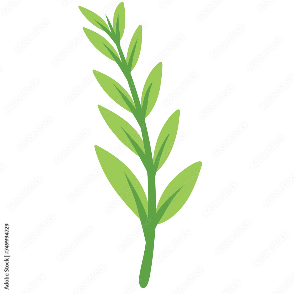 Green Leaves, tropical leaves, leaf, Green Leaves, tropical leaves, leaf,