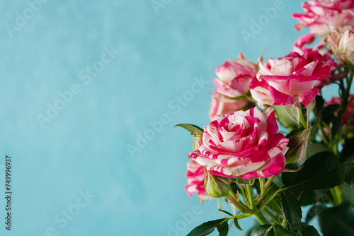 Fototapeta Naklejka Na Ścianę i Meble -  miniature red and white roses on a blue background, copy space