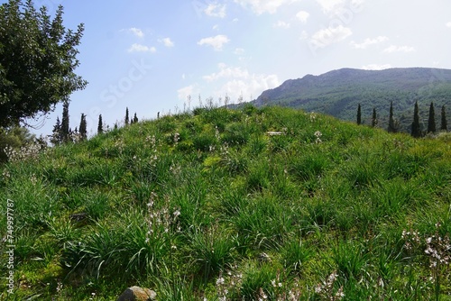 The burial mound, or tymbos, of the Plataeans killed during the famous battle of Marathon, of 490 BC photo