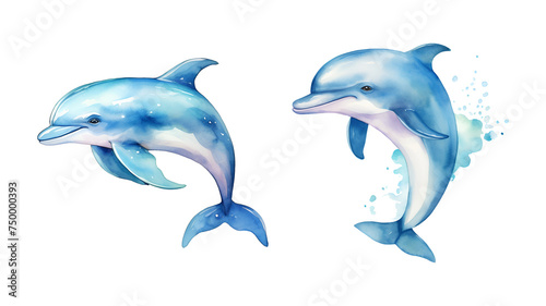 Dolphin, watercolor clipart illustration with isolated background.