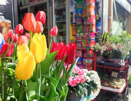 Photo of a vibrant arrangement of Garden tulips (Tulipa gesneriana) at a florist shop. photo