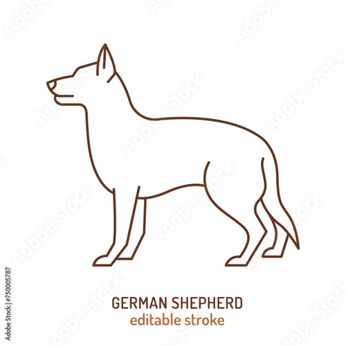 German shepherd silhouette, outline contour sketch. Vector isolated illustration