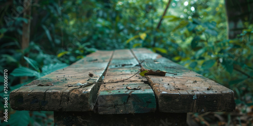 Old wooden plank platform with fresh green foliage and bokeh