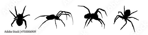 set of spider silhouette isolated
