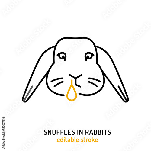 Nasal discharge from rabbits nose. Common pet disease symbol.