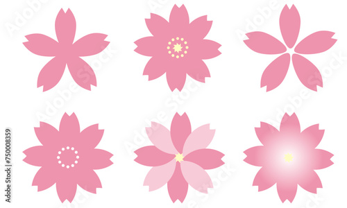 桜の花　セット　アイコン	