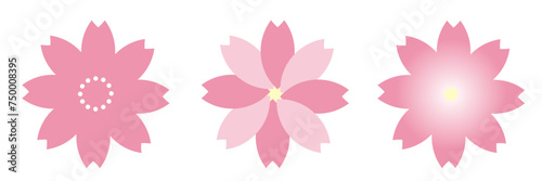 桜の花　セット　アイコン	
