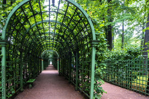 A long tunnel in the park is covered with greenery.