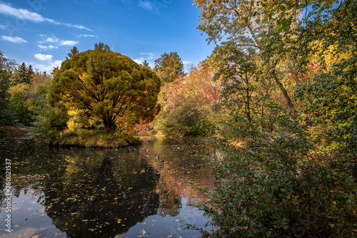 Fototapeta Naklejka Na Ścianę i Meble -  Trees and bushes around a small lake on an autumn day.