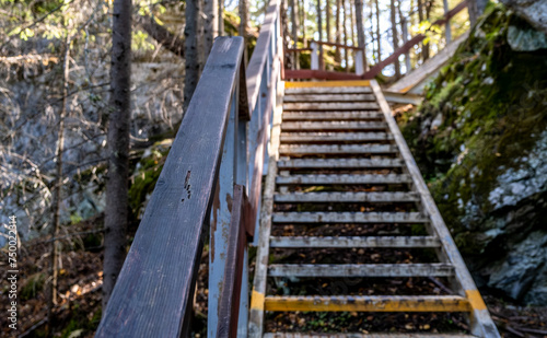 A staircase with a railing leading to a mountain in the forest.