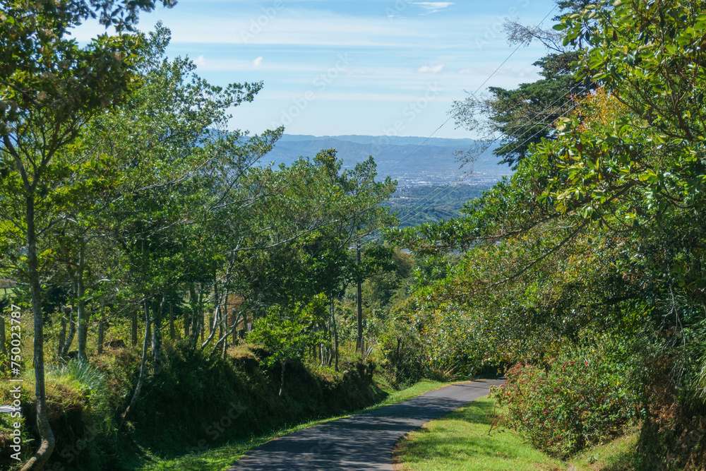 Landscape of mountain road