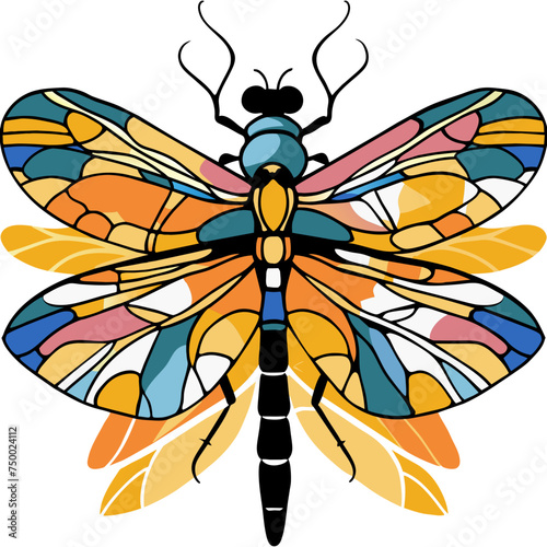 dragonfly illustration