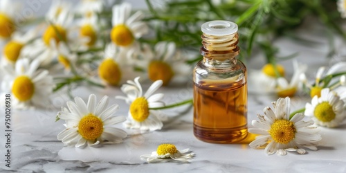 Chamomile Essential Oil in a Glass Bottle, Resting on a Luxurious Marble Background. Close-up of Chamomile Flowers, Perfect for Spa and Herbal Medicine Treatments