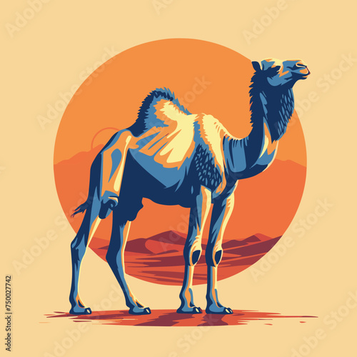 camel in desert