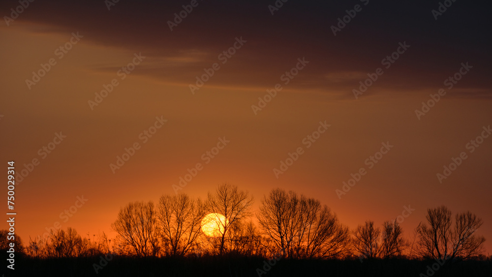 sunset over the field