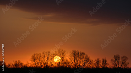 sunset over the field © Александр Арендарь