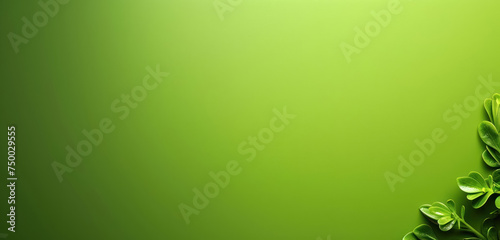 minimalistic green background with fresh leaves for modern design