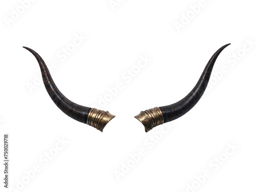 a pair of devil horns with gold rims are displayed together. photo