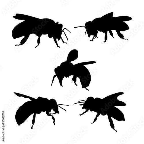 collection of silhouettes of bee
