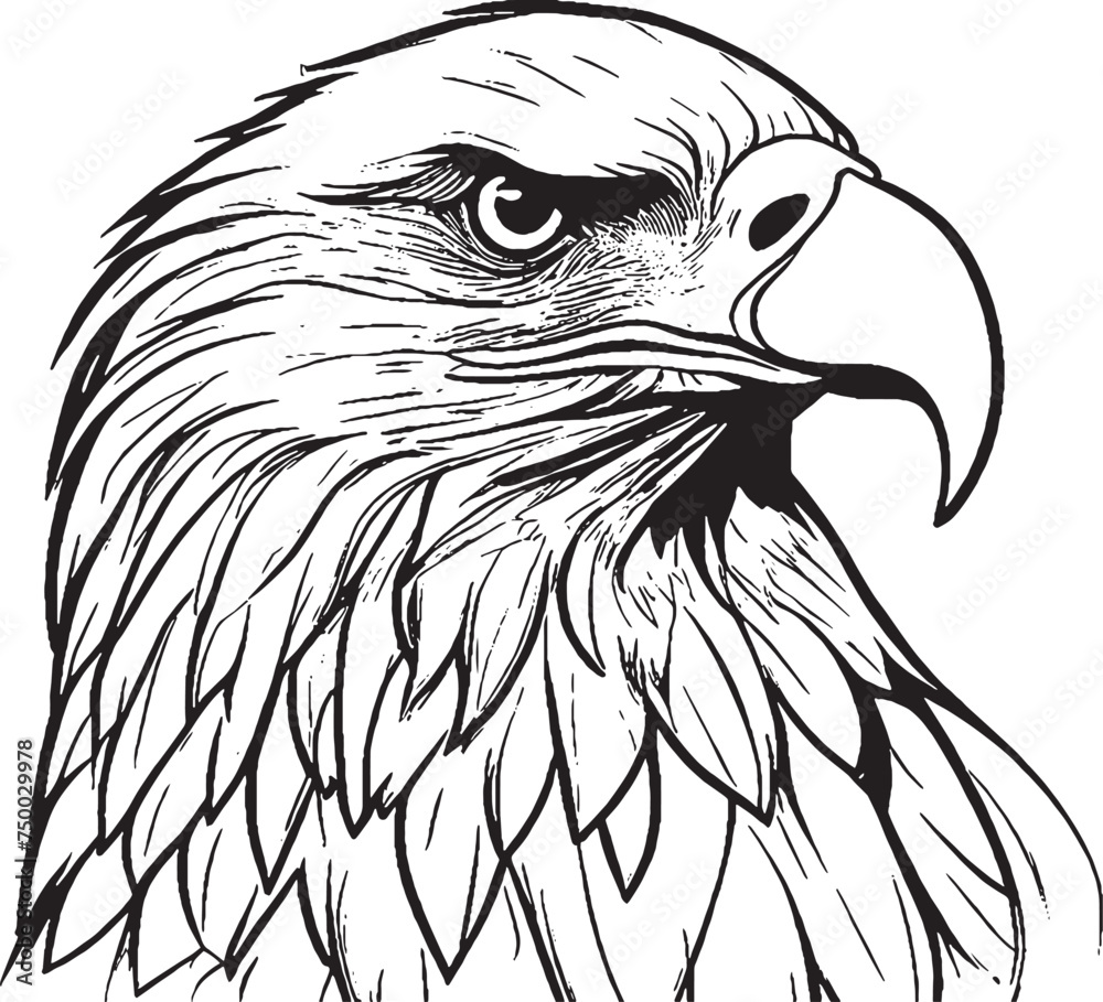 Premium Black And White Bold Eagle Drawing Vector Illustration Premium Black And White Bold Eagle Drawing Vector Illustration