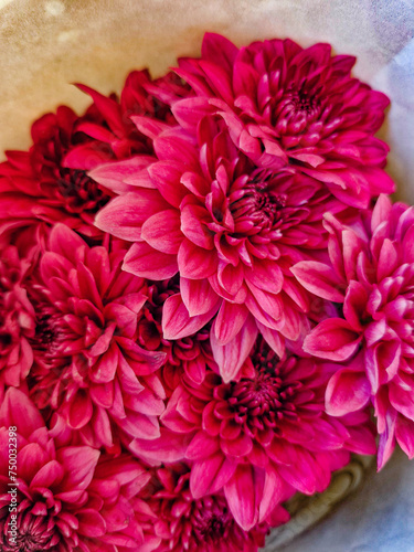 red flower