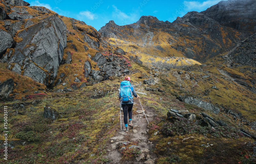 Lonely woman backpacker with trekking poles going up Zatrwa La Pass by mountain route during Makalu Barun National Park, Tuli Kharka settlement in Nepal. Mountain hiking, active people concept image