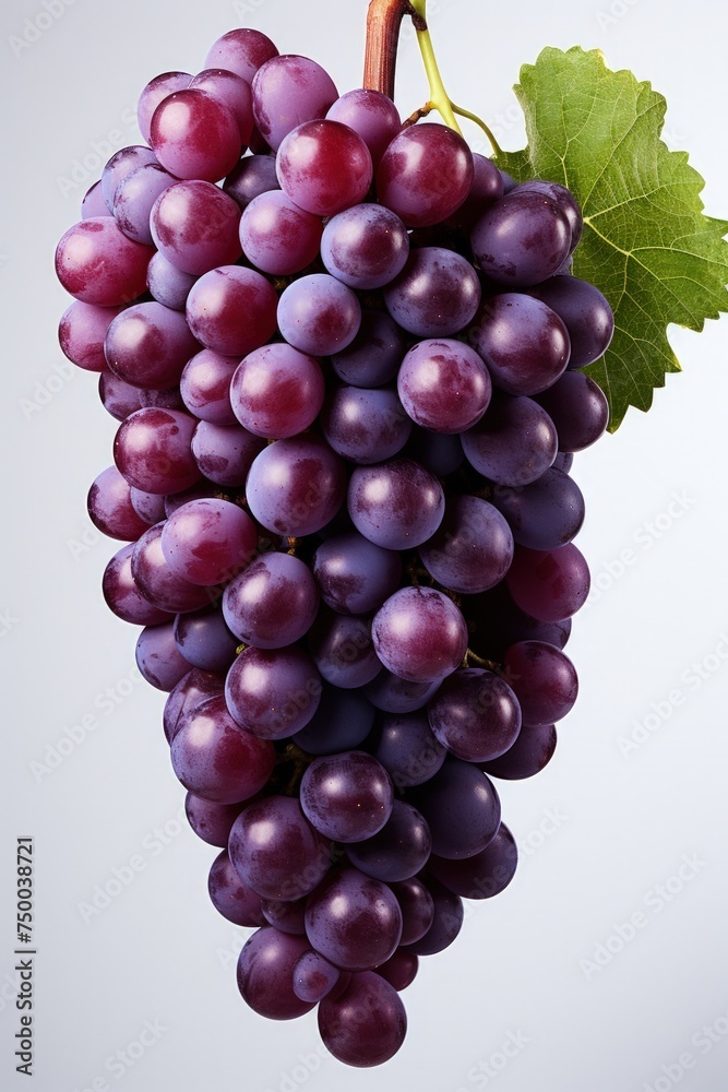 Studio shot of a delicious fruit illustration made with Generative AI Studio shot of a delicious fruit illustration made with Generative AI