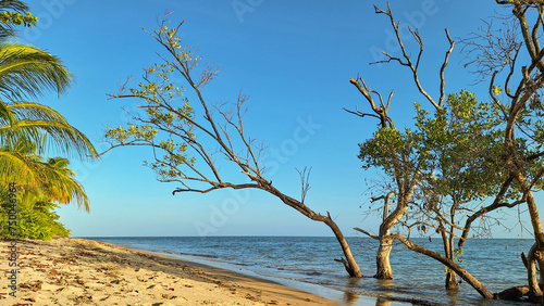 Fototapeta Naklejka Na Ścianę i Meble -  Afternoon landscape at Castelhanos Beach, Bahia, BR