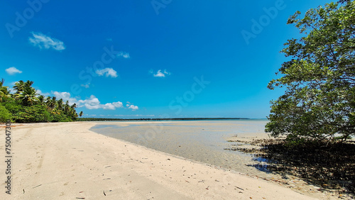 Fototapeta Naklejka Na Ścianę i Meble -  Landscapes of Garapuá beach