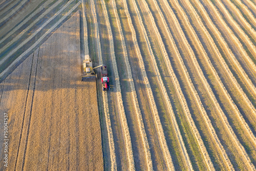 Aerial view of a Combine harvester and a tractor harvesting the wheat on a field, Jutland, Denmark. © Nick Brundle