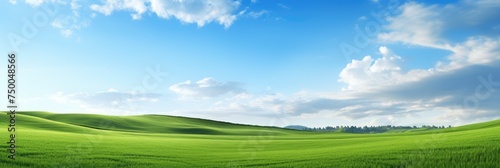 an open field filled with grass