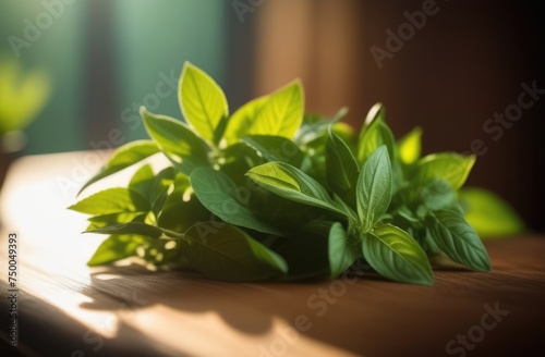 Bunch of green leaves are on table. Leaves are fresh and vibrant  and they seem to be in sun. Sunlight is shining on leaves  making them look even more beautiful and lively. Copy space.
