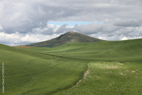 Photograph of Steptoe Butte Washington, near Colfax, in the spring with a foreground of lush green fields