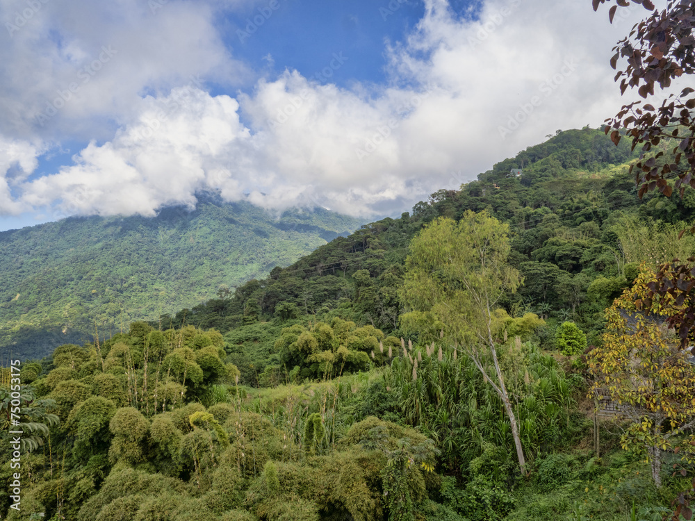 Fototapeta premium The green mountains of the Sierra Nevada. Minca. Colombia.
