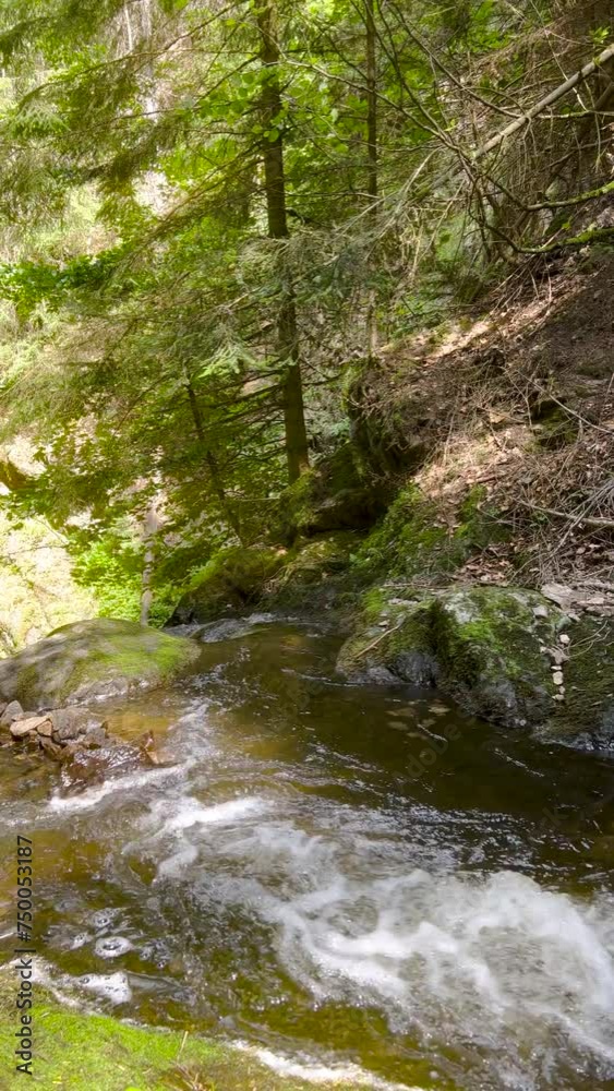 Looking down over a beautiful river stream running through the Black Forest in Germany. The water flows around the large moss-covered rocks. Tall mountains, trees and spectacular views of nature. Looking down over a beautiful river stream running through the Black Forest in Germany. The water flows around the large moss-covered rocks. Tall mountains, trees and spectacular views of nature.