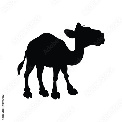 baby camel siluete vector ilustration photo