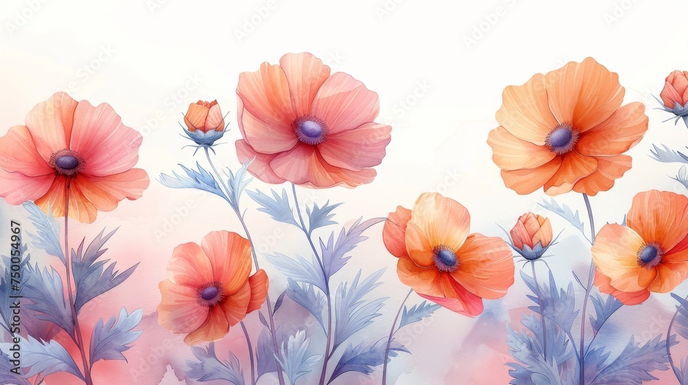 watercolor poppy flowers - obrazy, fototapety, plakaty 