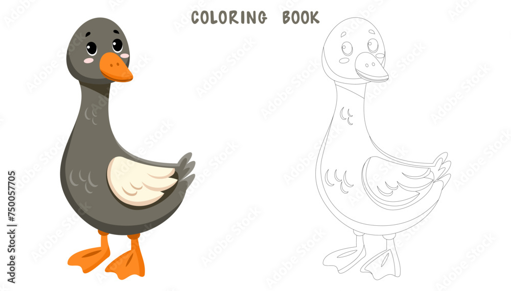 Coloring page of cute funny goose, happy little gosling. Coloring book of cute farm animal isolated on white background. Flat vector illustration. Coloring page of cute funny goose, happy little gosling. Coloring book of cute farm animal isolated on white background. Flat vector illustration.