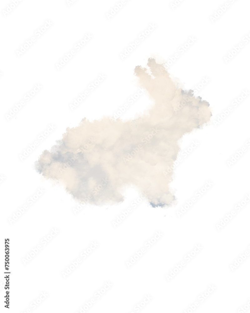 Obraz premium rabbit of cloud