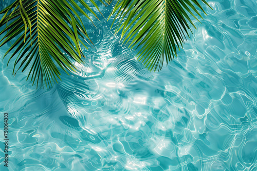 Palm leaf above clear water background. Summer holiday and outdoor relax concept. Copy space © Patcharaphon