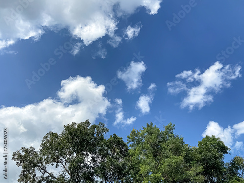 Blue sky with white clouds.