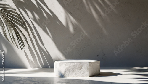 Mock up of abstract white stone podium with delicate leaf shadows. Minimalistic elegance.