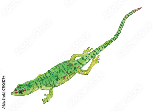 Green gecko Animal hand-painted illustration Cute lizard Png clipart Graphic cut file